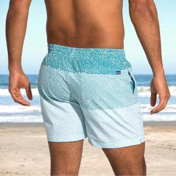 Chubbies The Whale Shark Stretch Swim‎ Trunks *5.5” - Picture 4 of 16